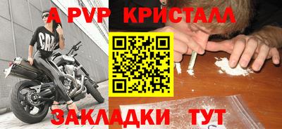 амф Донской