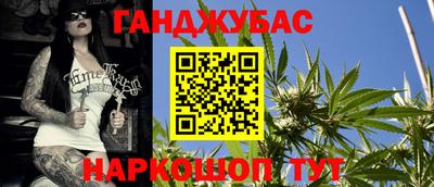амф Донской