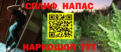амф Донской