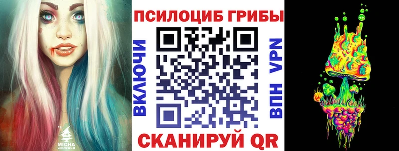 Галлюциногенные грибы Cubensis  закладка  Новосибирск 