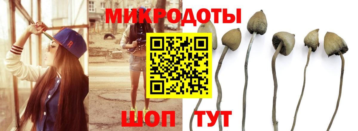 закладки  Галлюциногенные грибы GOLDEN TEACHER  Вход с VPN  Новосибирск 